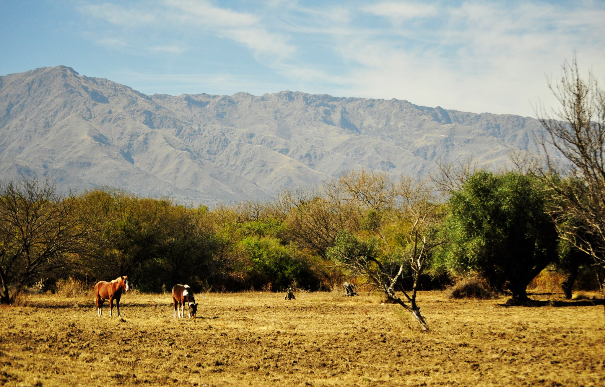 Foto: David Marcelo Finzi