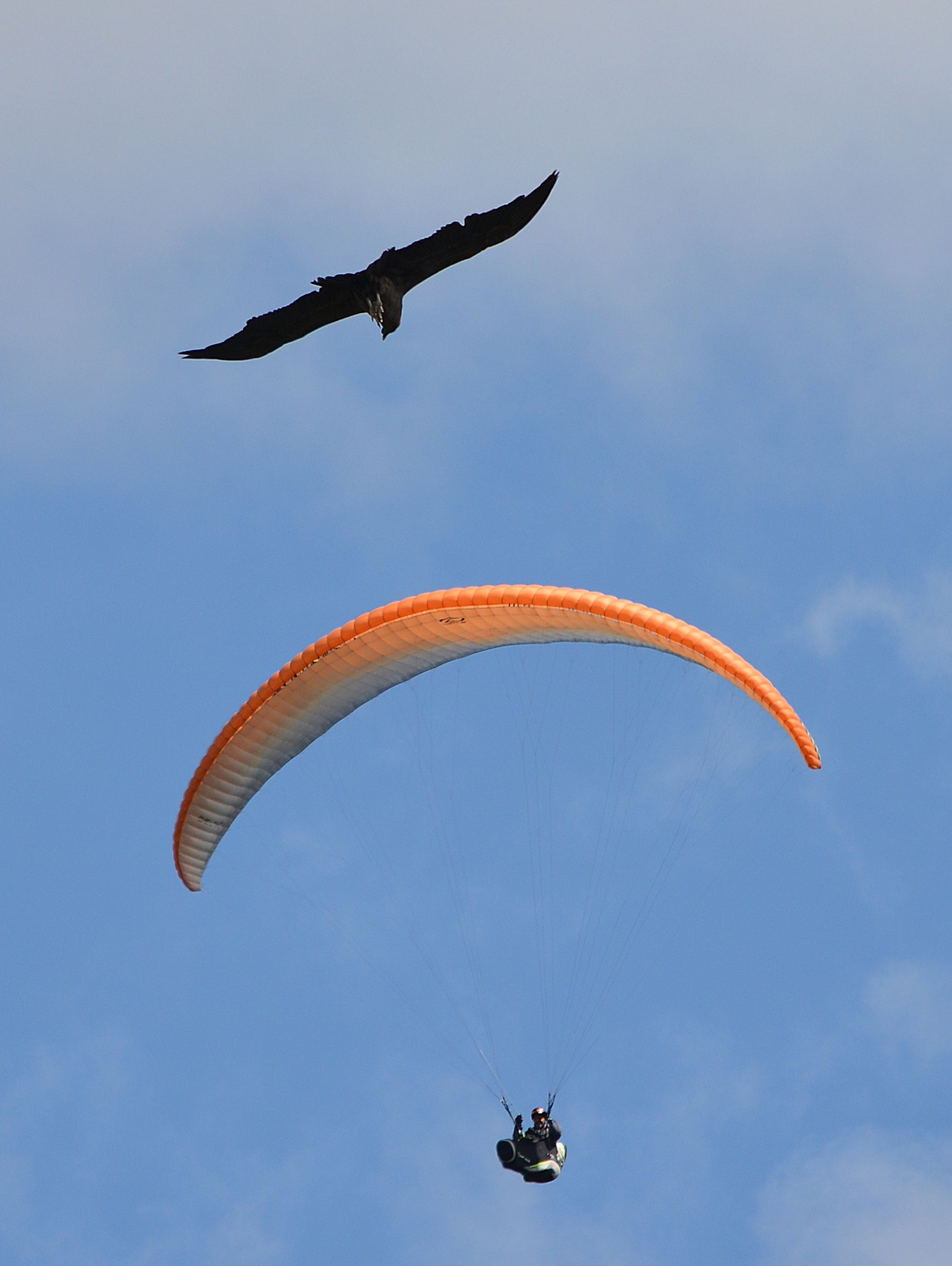 480934511 2850013611825878 32798437216564035 n