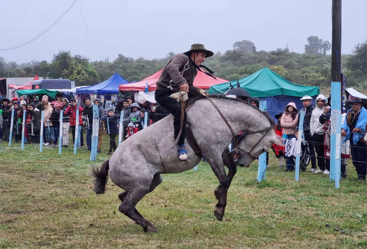 TalaCAñada2
