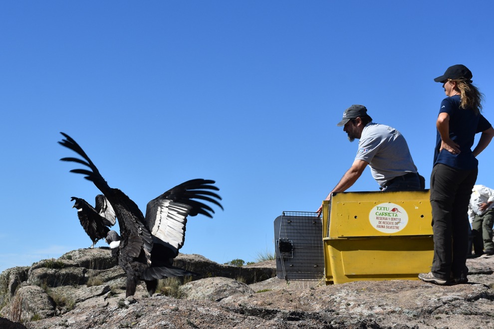 WhatsApp Image 2025 03 31 at 17.05.23 2