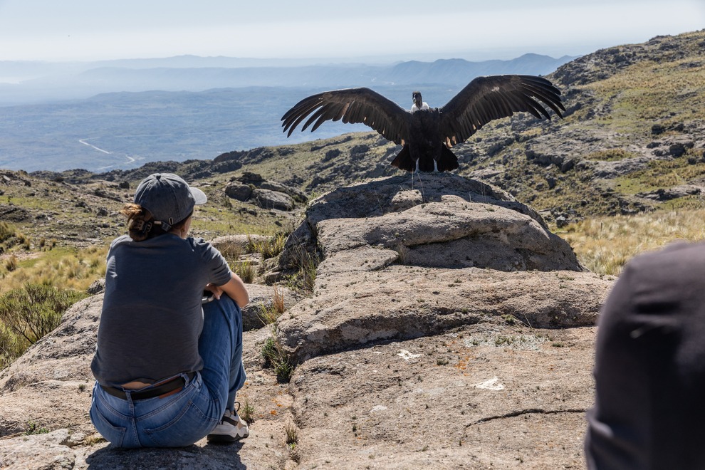 WhatsApp Image 2025 03 31 at 17.05.23 3