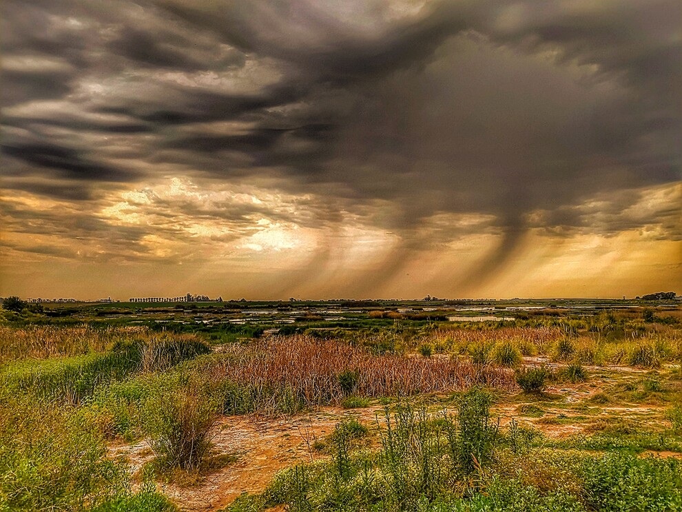 Cordoba y su biodiversidad estrategias para conservar nuestro patrimonio natural 6
